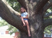 Grandma's tree