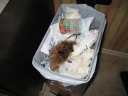 Evidence (Josh cleaned up!)