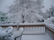 Thanksgiving_2004_IMG_4528.JPG