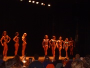 Figure Comp 004