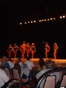 Figure Comp 008