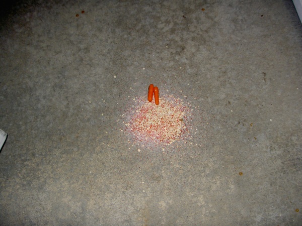 Reindeer food