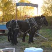DSC00565.JPG